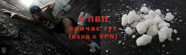 молекула духа Надым