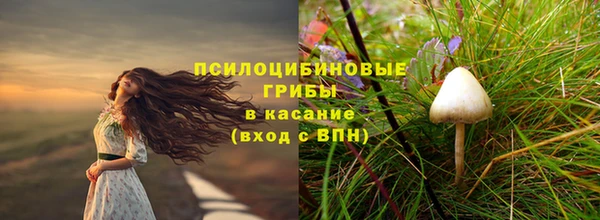 молекула духа Надым