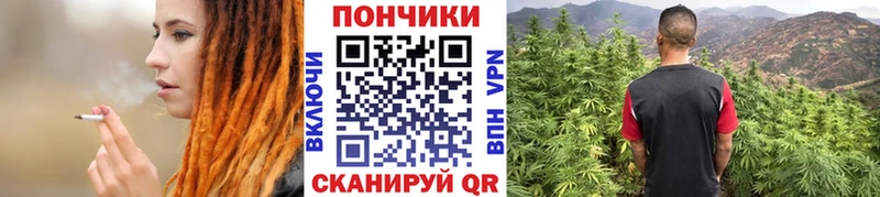 где купить наркоту  Шилка  Канабис ГИДРОПОН 